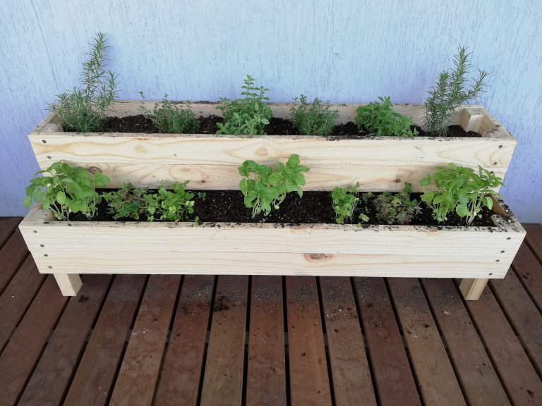 First planter